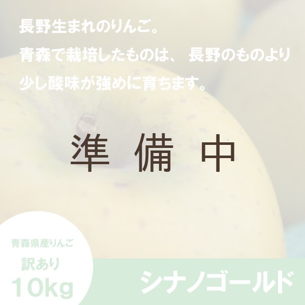 画像3: シナノゴールド　訳あり　１０kg（約40個程度）≪送料込≫ (3)