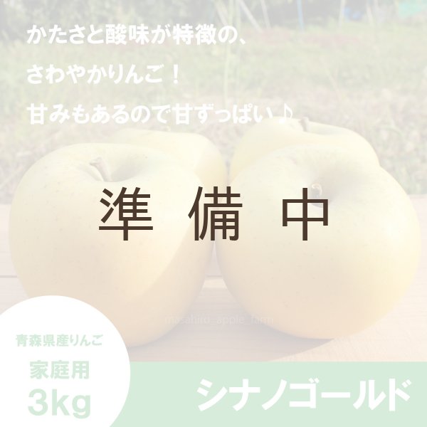 画像1: シナノゴールド　家庭用　３kg（約7-10個）≪送料込≫ (1)