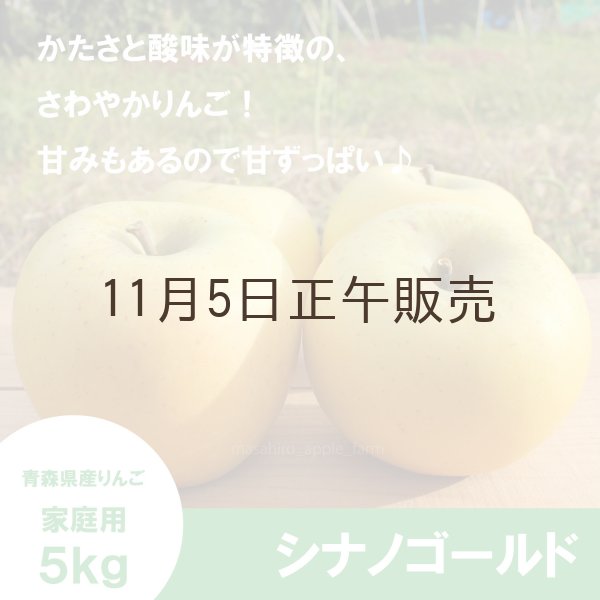 画像1: シナノゴールド　家庭用　５kg（約12-20個）≪送料込≫ (1)