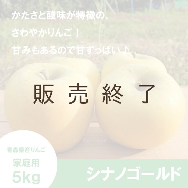 画像1: シナノゴールド　家庭用　５kg（約12-20個）≪送料込≫ (1)