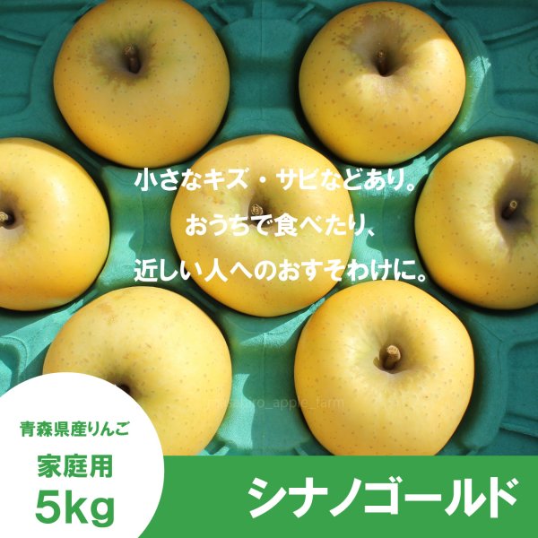 画像2: シナノゴールド　家庭用　５kg（約12-20個）≪送料込≫ (2)