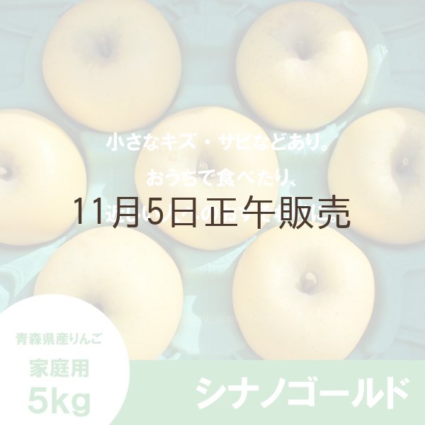 画像2: シナノゴールド　家庭用　５kg（約12-20個）≪送料込≫ (2)