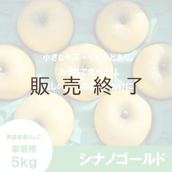 画像2: シナノゴールド　家庭用　５kg（約12-20個）≪送料込≫ (2)