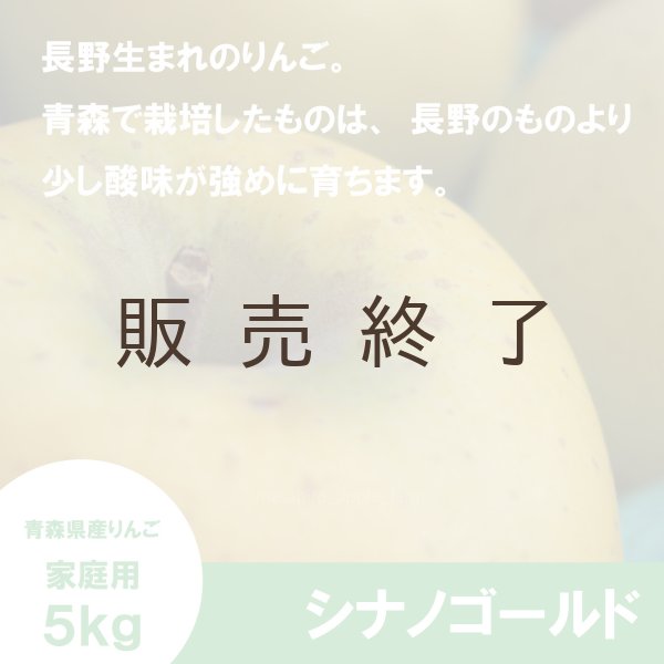 画像3: シナノゴールド　家庭用　５kg（約12-20個）≪送料込≫ (3)