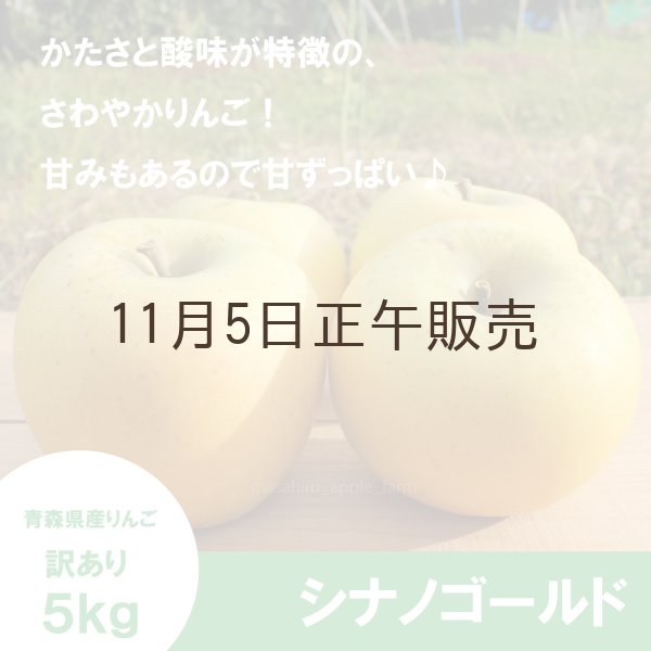 画像1: シナノゴールド　訳あり　５kg（約20個程度）≪送料込≫ (1)