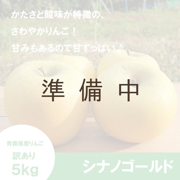 画像1: シナノゴールド　訳あり　５kg（約20個程度）≪送料込≫ (1)
