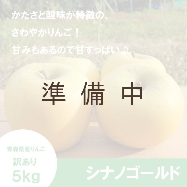 画像1: シナノゴールド　訳あり　５kg（約20個程度）≪送料込≫ (1)