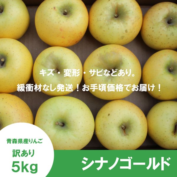 画像2: シナノゴールド　訳あり　５kg（約20個程度）≪送料込≫ (2)