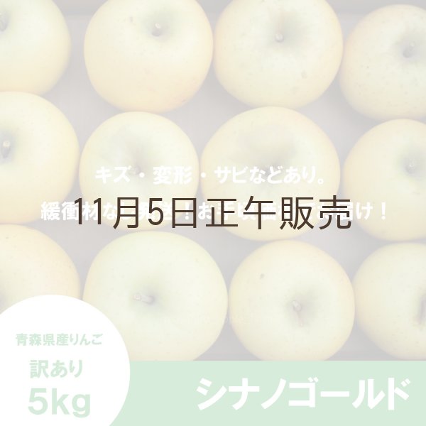 画像2: シナノゴールド　訳あり　５kg（約20個程度）≪送料込≫ (2)