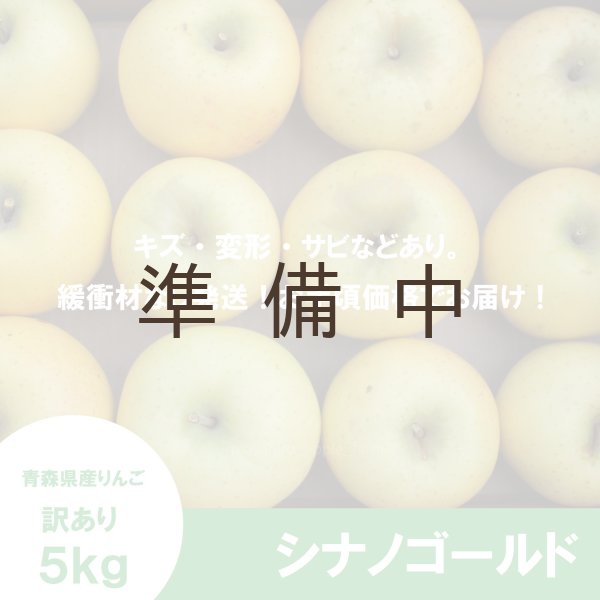 画像2: シナノゴールド　訳あり　５kg（約20個程度）≪送料込≫ (2)