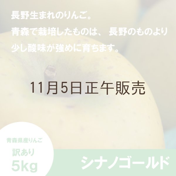 画像3: シナノゴールド　訳あり　５kg（約20個程度）≪送料込≫ (3)