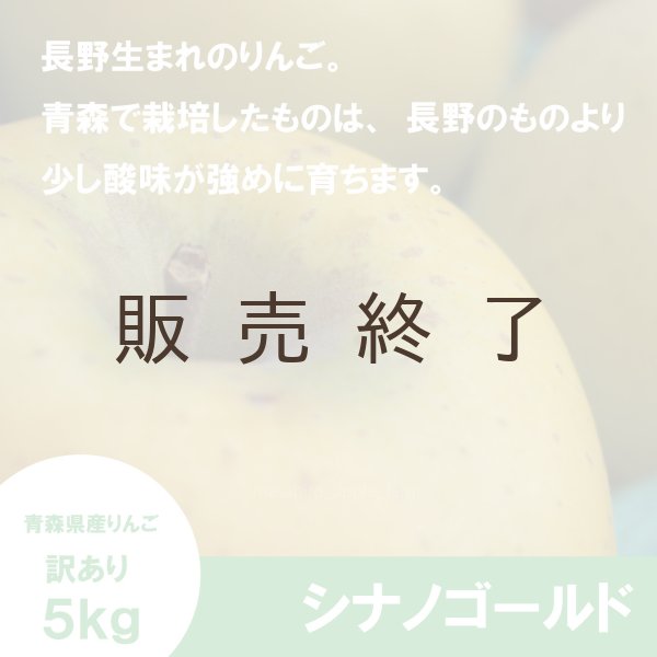 画像3: シナノゴールド　訳あり　５kg（約20個程度）≪送料込≫ (3)