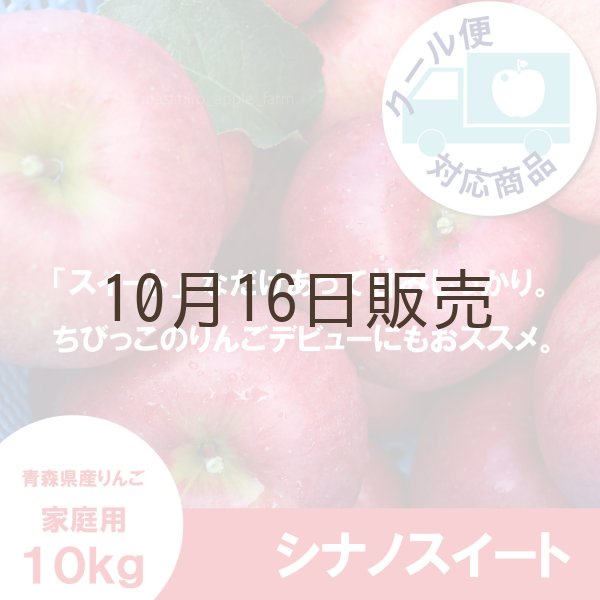 画像1: ※10月中旬〜下旬発送※ シナノスイート　訳あり　５kg（約20個前後）≪送料込≫ (1)