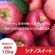 画像1: シナノスイート　家庭用　１０kg（約24-40個）≪送料込≫ (1)