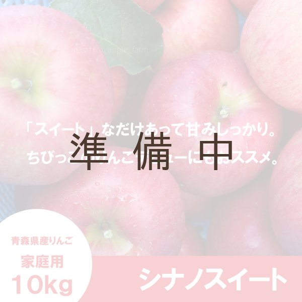 画像1: シナノスイート　家庭用　１０kg（約24-40個）≪送料込≫ (1)