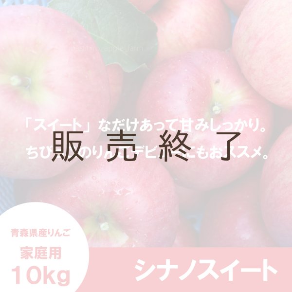 画像1: シナノスイート　家庭用　１０kg（約24-40個）≪送料込≫ (1)