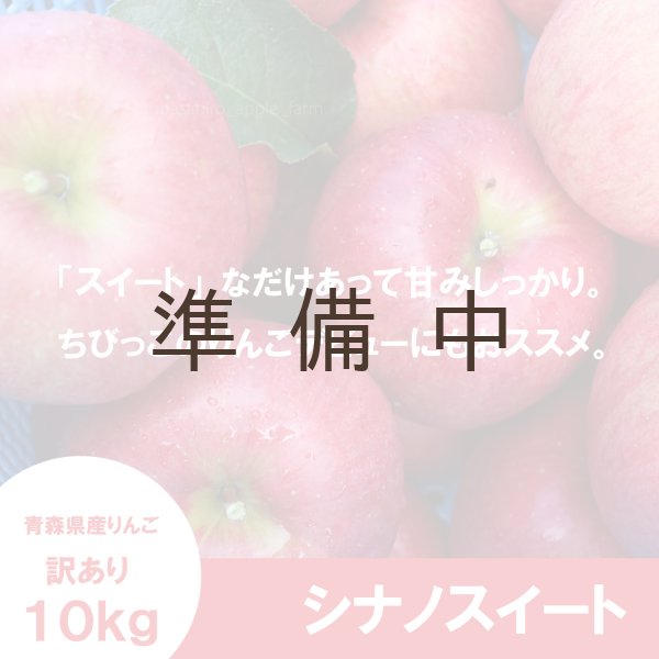 画像1: シナノスイート　訳あり　１０kg（約40個前後）≪送料込≫ (1)
