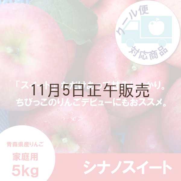 画像1: シナノスイート 家庭用 5kg(約14-20個)≪送料込≫ (1)