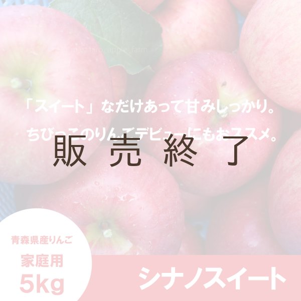 画像1: シナノスイート　家庭用　５kg（約14-20個）≪送料込≫ (1)
