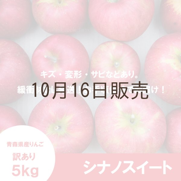 画像2: ※10月中旬〜下旬発送※ シナノスイート　訳あり　５kg（約20個前後）≪送料込≫ (2)