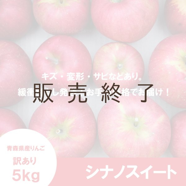 画像2: シナノスイート　訳あり　５kg（約20個前後）≪送料込≫ (2)