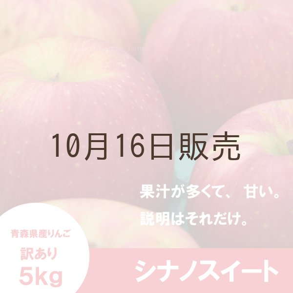 画像3: ※10月中旬〜下旬発送※ シナノスイート　訳あり　５kg（約20個前後）≪送料込≫ (3)