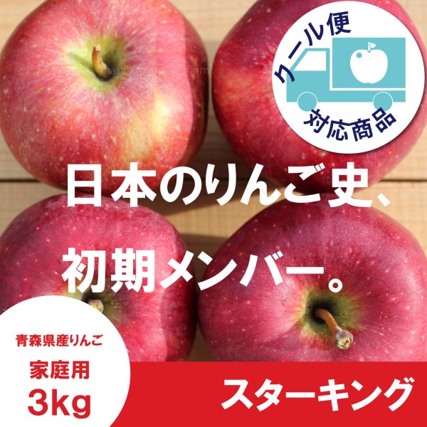 画像1: ※10月上〜中旬発送予定※ スターキング　家庭用　３kg（約7-11個）≪送料込≫ (1)