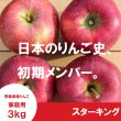 画像1: スターキング　家庭用　３kg（約7-11個）≪送料込≫ (1)