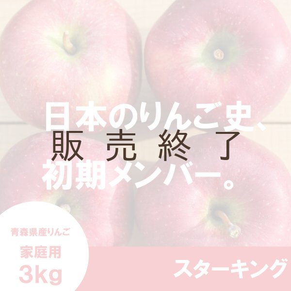 画像1: スターキング　家庭用　３kg（約7-11個）≪送料込≫ (1)