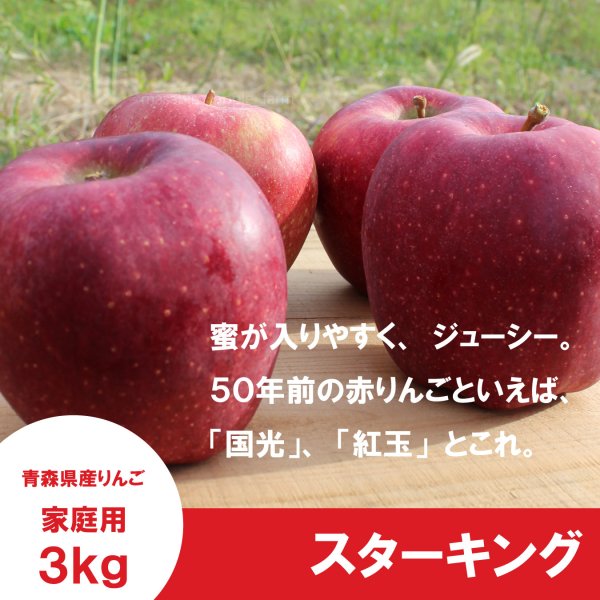 画像3: ※10月上〜中旬発送予定※ スターキング　家庭用　３kg（約7-11個）≪送料込≫ (3)