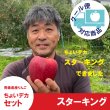 画像1: ※数量限定※ スターキング　ちょいデカセット（一玉約600g 6〜7個入）≪送料込≫ (1)