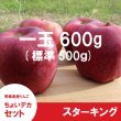 画像2: ※数量限定※ スターキング　ちょいデカセット（一玉約600g 6〜7個入）≪送料込≫ (2)