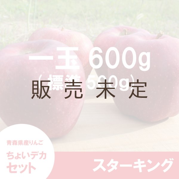画像2: ※数量限定※ スターキング　ちょいデカセット（一玉約600g 6〜7個入）≪送料込≫ (2)
