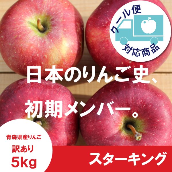 画像1: ※10月上〜中旬発送予定※ スターキング 　訳あり　５kg（約20個前後）≪送料込≫ (1)