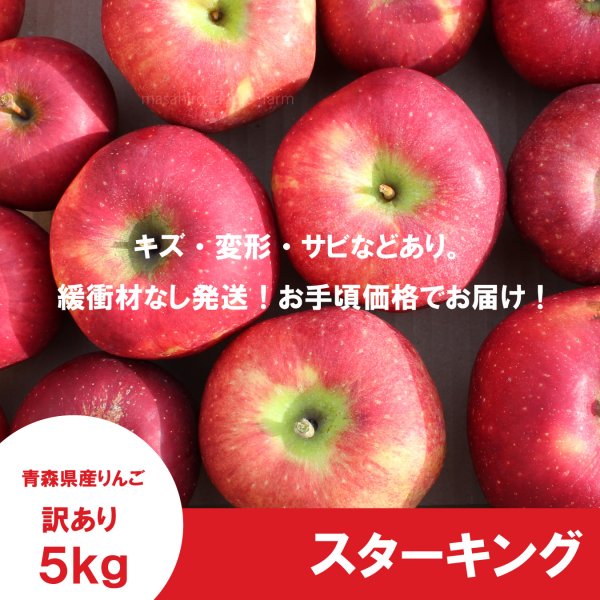 画像2: ※10月上〜中旬発送予定※ スターキング 　訳あり　５kg（約20個前後）≪送料込≫ (2)