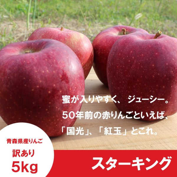 画像3: ※10月上〜中旬発送予定※ スターキング 　訳あり　５kg（約20個前後）≪送料込≫ (3)