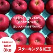 画像2: ★青森県りんご植栽150周年記念★ スターキング＆紅玉　家庭用　３kg（約9-12個）≪送料込≫ (2)