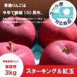 画像1: ★青森県りんご植栽150周年記念★ スターキング＆紅玉　家庭用　３kg（約9-12個）≪送料込≫ (1)