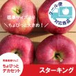 画像1: ※数量限定※ スターキング　ちょびっとデカセット（一玉約350g 6〜8個入）≪送料込≫ (1)
