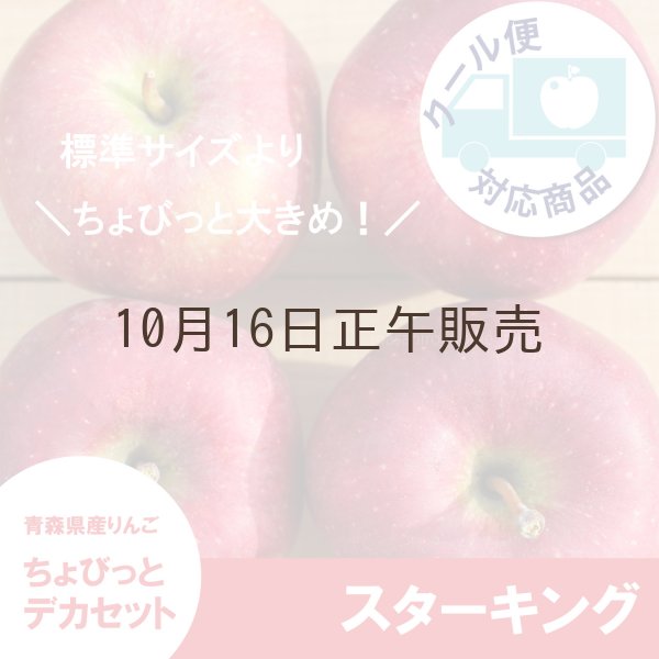 画像1: ※数量限定※ スターキング　ちょびっとデカセット（一玉約350g 6〜8個入）≪送料込≫ (1)