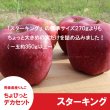 画像2: ※数量限定※ スターキング　ちょびっとデカセット（一玉約350g 6〜8個入）≪送料込≫ (2)