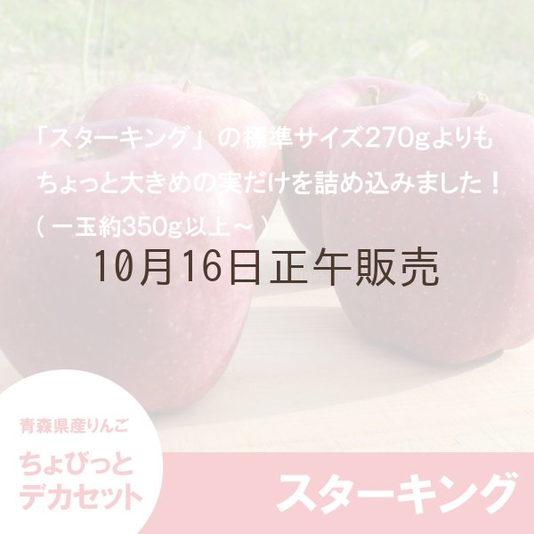 画像2: ※数量限定※ スターキング　ちょびっとデカセット（一玉約350g 6〜8個入）≪送料込≫ (2)