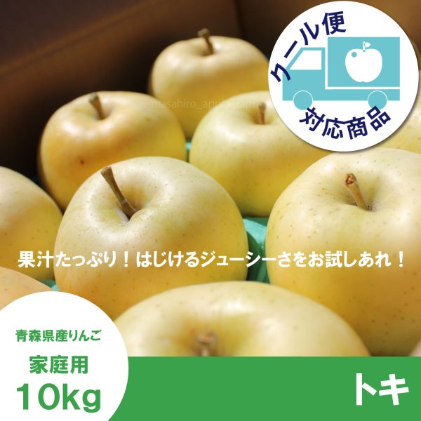 画像1: トキ　家庭用　１０kg（約28-40個） ≪送料込≫ (1)