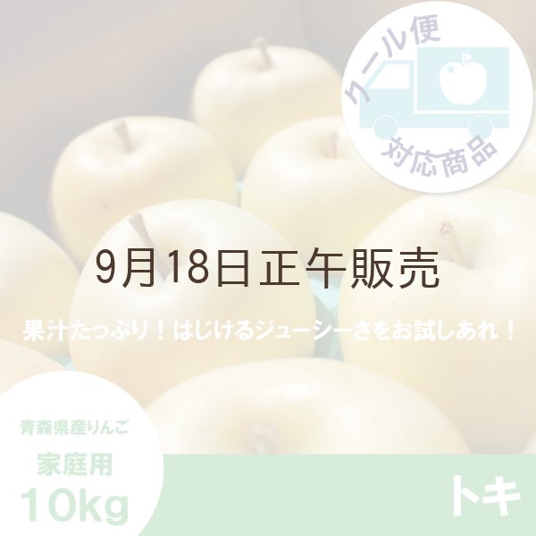 画像1: ※10月中旬発送予定※ トキ　家庭用　１０kg（約28-40個） ≪送料込≫ (1)