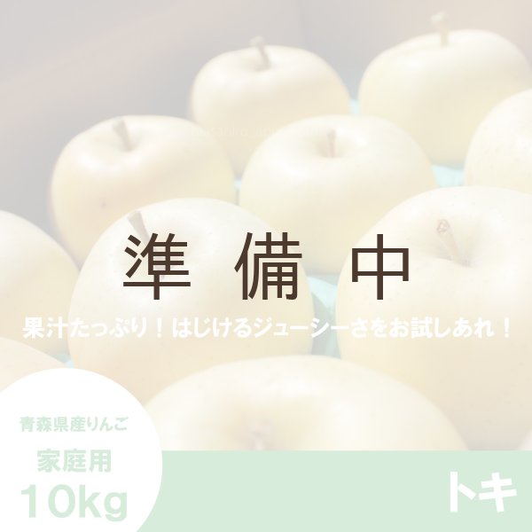 画像1: トキ　家庭用　１０kg（約28-40個） ≪送料込≫ (1)