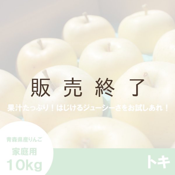 画像1: トキ　家庭用　１０kg（約28-40個） ≪送料込≫ (1)