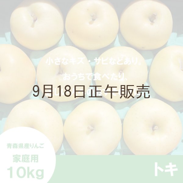 画像2: ※10月中旬発送予定※ トキ　家庭用　１０kg（約28-40個） ≪送料込≫ (2)