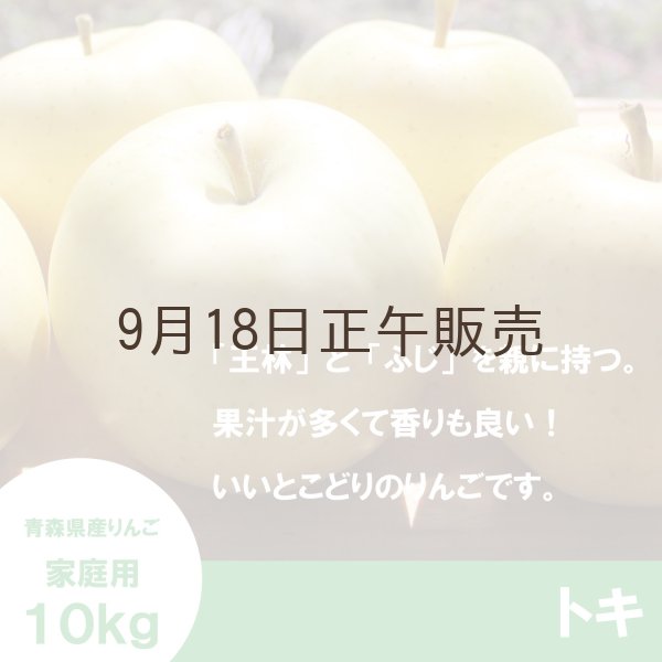 画像3: ※10月中旬発送予定※ トキ　家庭用　１０kg（約28-40個） ≪送料込≫ (3)