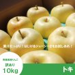 画像1: トキ　訳あり　１０kg（約40個前後） ≪送料込≫ (1)