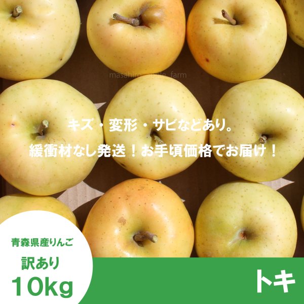 画像2: トキ　訳あり　１０kg（約40個前後） ≪送料込≫ (2)